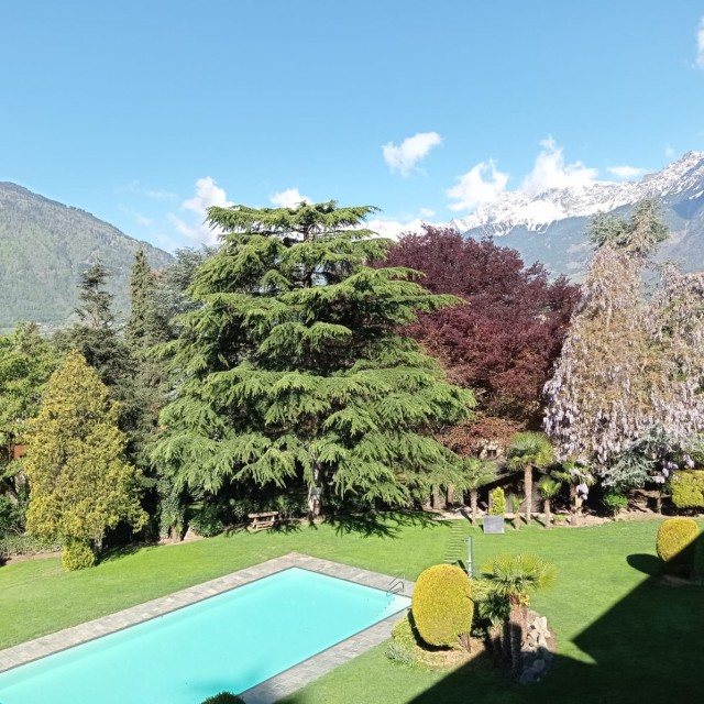 photo_main-2022-06-29-14-36-21